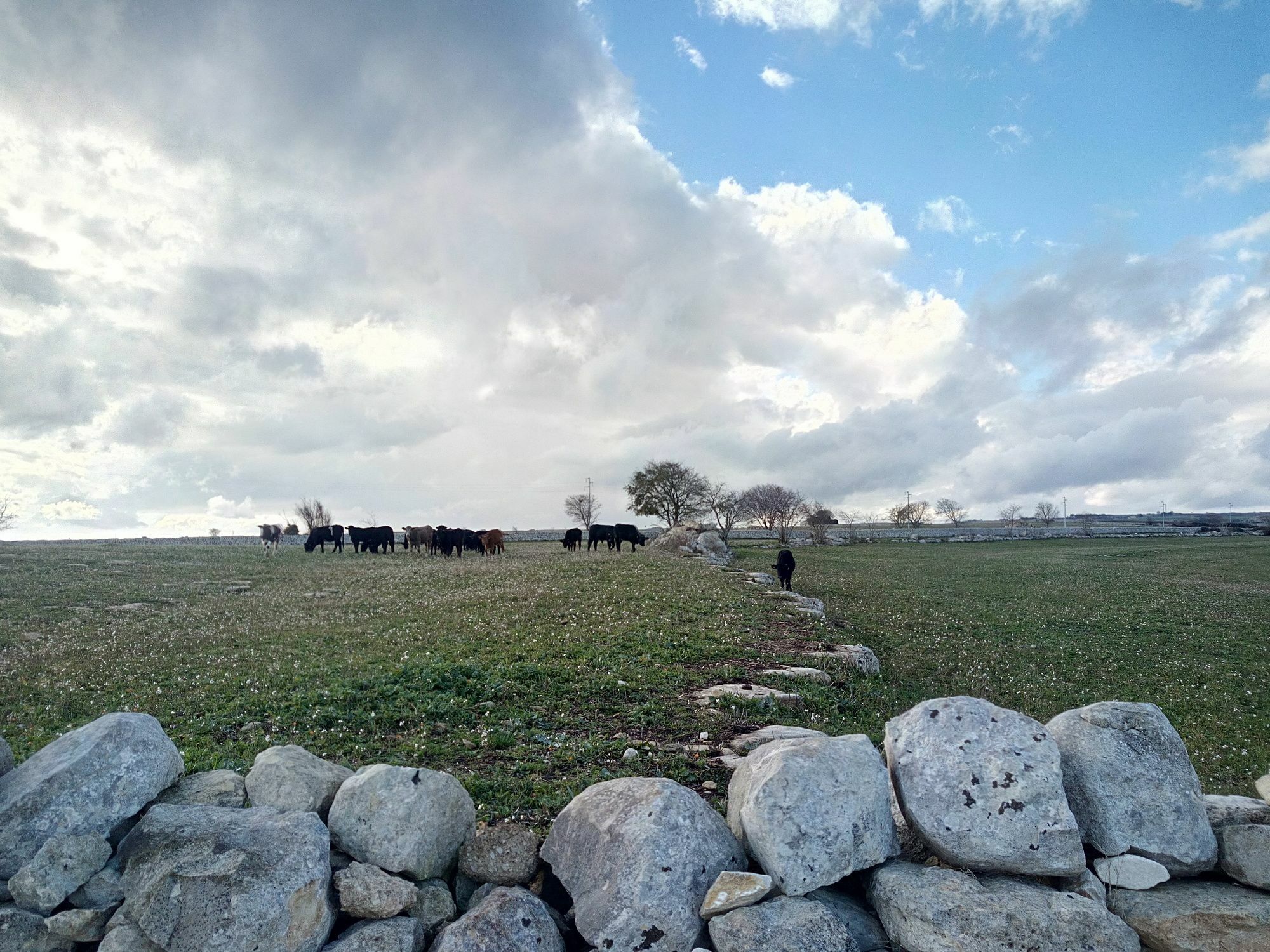 Caposud - Appartamento Sottovento Marina di Ragusa Exteriör bild
